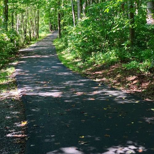 Reston Trails: A Complete Guide to 55 Miles of Paths, Six Marked Routes, and Where to Park