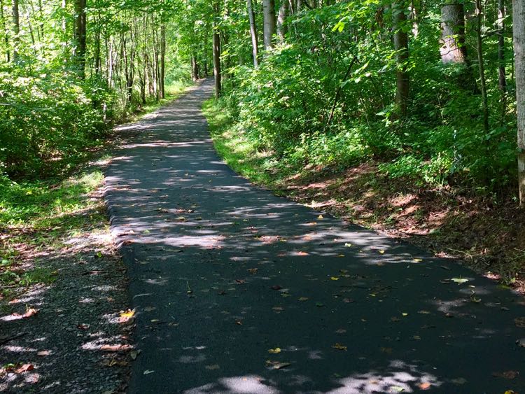 A paved Reston Association pathway running through woods on the Glade stream valley