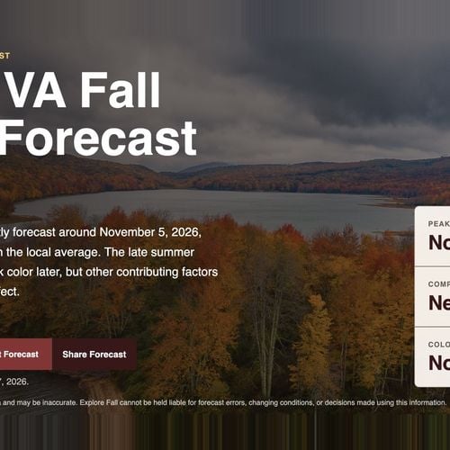 When Will Fall Foliage Peak in Reston and Herndon in 2026?