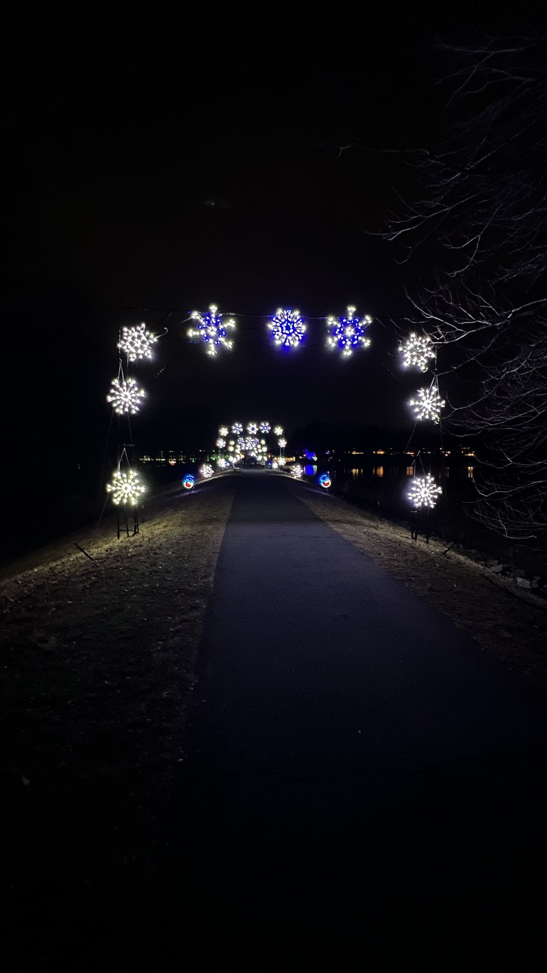 Snowflake light arches over the paved path of the Light Up the Park trail at Winterfest, Brown's Chapel Park, Reston, Virginia