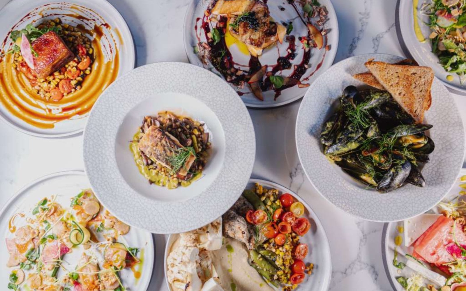 Overhead view of several plated dishes at Clarity in Reston Town Center, including mussels with toast and a seared fish entrée