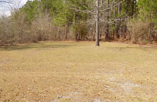 1232 LE Byrd Road Patrick SC 29584 Country Home and Acreage For Sale (16)