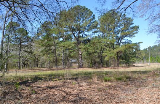 Hwy 52 S, Cheraw, Chesterfield County, 29520, SC, Home and Land For Sale 17