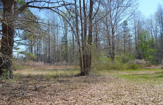 Hwy 52 S, Cheraw, Chesterfield County, 29520, SC, Home and Land For Sale 19