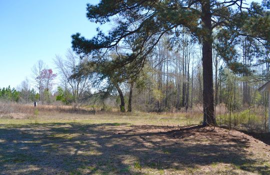 Hwy 52 S, Cheraw, Chesterfield County, 29520, SC, Home and Land For Sale 21