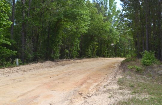 Davis White Lane, Chesterfield, Chesterfield County, SC, 29709, Home and land for sale 12