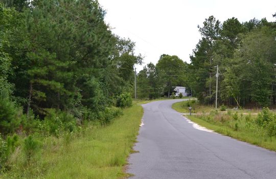 Singletree Road, Cheraw, Cheserfield County, SC 29520, Land for Sale