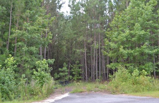 Singletree Road, Cheraw, Chesterfield County, 29520, SC, Land for Sale 2