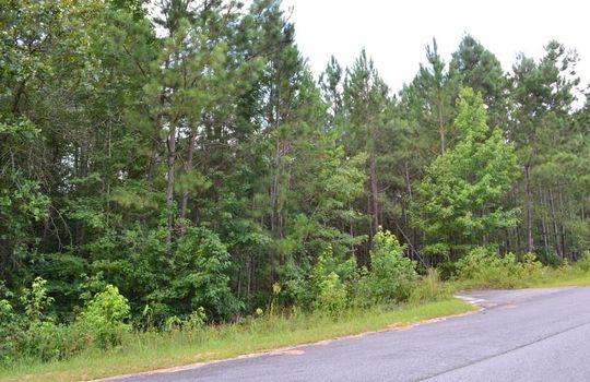 Singletree Road, Cheraw, Chesterfield County, 29520, SC, Land for Sale 3