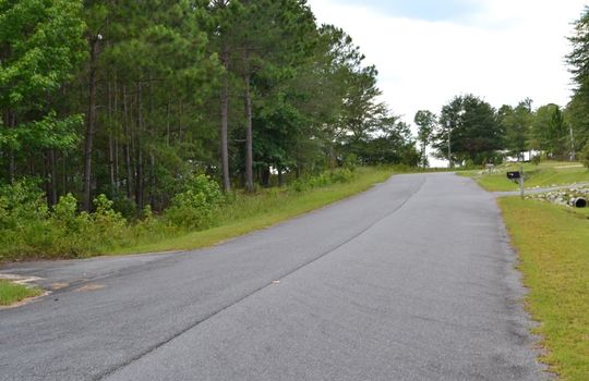 Singletree Road, Cheraw, Chesterfield County, 29520, SC, Land for Sale