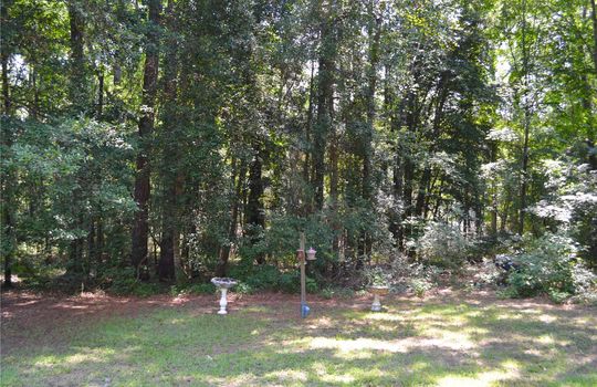 487 Ridge Road, Cheraw, Chesterfield County, 29520, South Carolina, Home For Sale 19