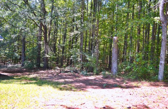 137 2nd Street, Mt. Crighan, Chesterfield County, 29727, SC, Home For Sale 1