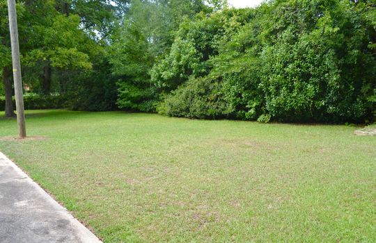 308 Johnson Street, Cheraw, Chesterfield County, 29520, SC, Home For Sale 16