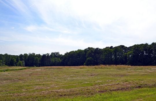 100 Palmetto Place Chesterfield SC 29709 Home For Sale (3)