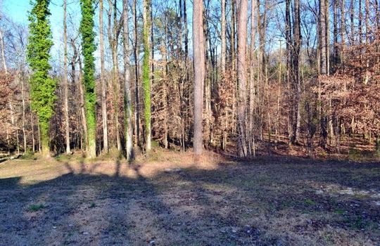 206 River Drive, Chesterfield, Chesterfield County, 29709, South Carolina, Home For Sale 9
