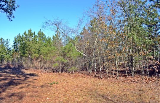 4907 Gurney Road Wallace SC Marlboro County 29596 Country Home with Acreage (22)