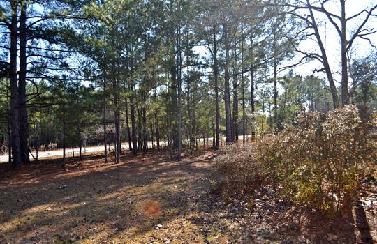 4907 Gurney Road Wallace SC Marlboro County 29596 Country Home with Acreage (4)