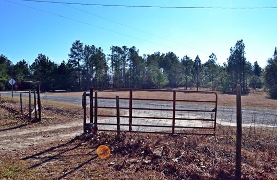 4907 Gurney Road Wallace SC Marlboro County 29596 Country Home with Acreage (5)