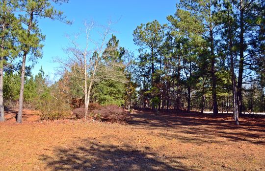 4907 Gurney Road Wallace SC Marlboro County 29596 Country Home with Acreage (7)