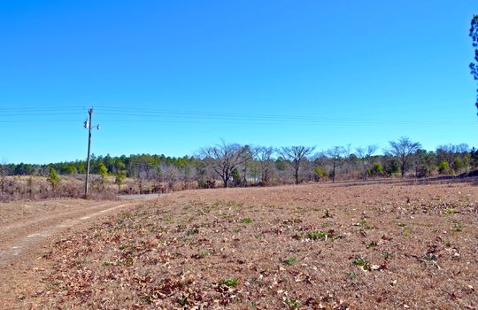 1858 Brown Springs Church Road Hartsville Chesterfield County SC 29550 Country Home with Acreage For Sale (12)