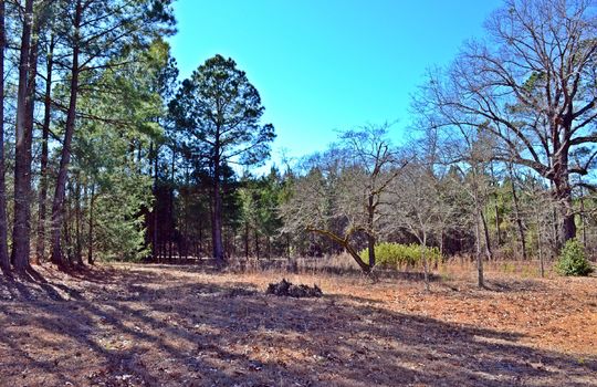 1858 Brown Springs Church Road Hartsville Chesterfield County SC 29550 Country Home with Acreage For Sale (20)