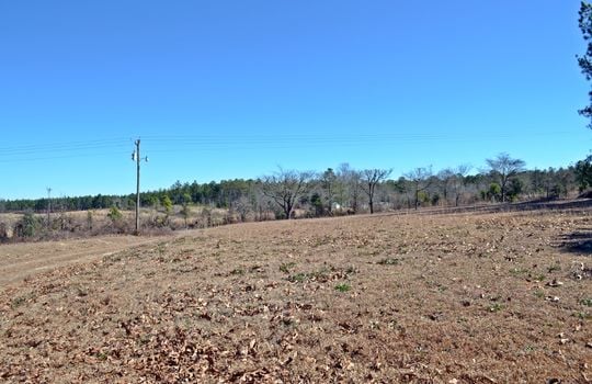 1858 Brown Springs Church Road Hartsville Chesterfield County SC 29550 Country Home with Acreage For Sale (7)