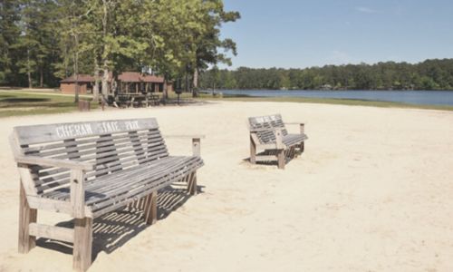 An absolute treasure carved into the tall pines …