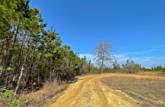 Begley Stump Road Chesterfield SC 29709 Land For Sale (2)