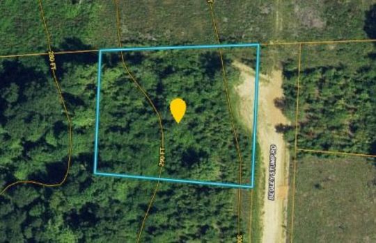 Begley Stump Road Chesterfield SC 29709 Land For Sale (7)