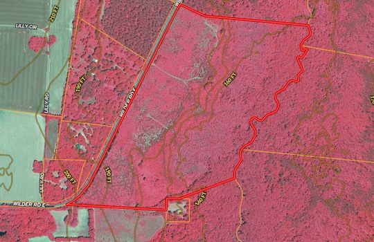 wilder road e bennettsville sc marlboro county acreage for sale infrared