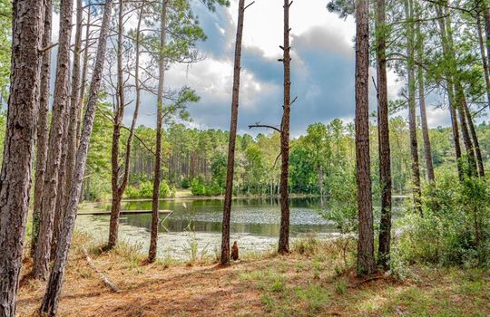1628 Scotch Road Chesterfield South Carolina 29709 19 Acres With Pond and Forest (11)