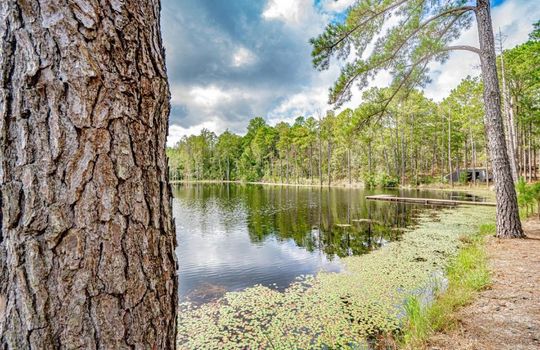 1628 Scotch Road Chesterfield South Carolina 29709 19 Acres With Pond and Forest (16)