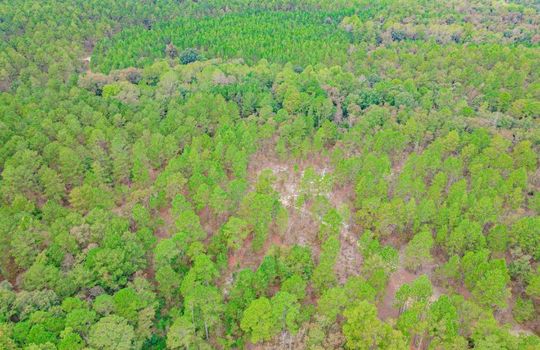 1628 Scotch Road Chesterfield South Carolina 29709 19 Acres With Pond and Forest (4)