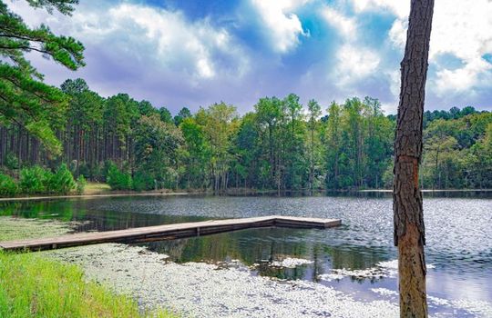 1628 Scotch Road Chesterfield South Carolina 29709 19 Acres With Pond and Forest (5)