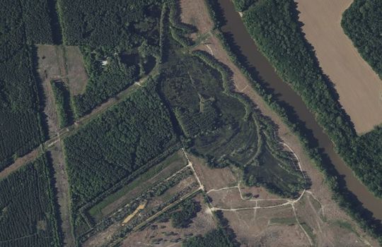 Great Pee Dee Riverfront Acreage Darlington County SC Aerial 1