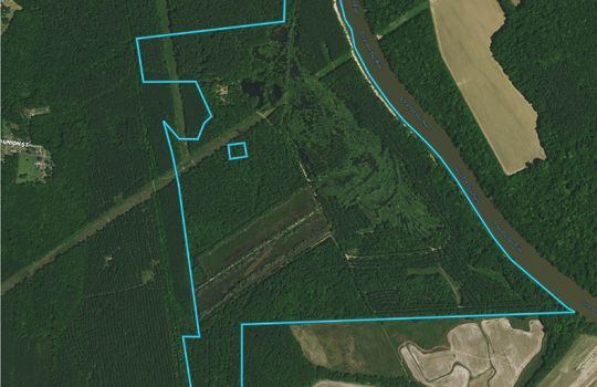 Great Pee Dee Riverfront Acreage Darlington County SC Boundary View