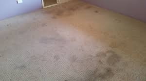 dirty carpet