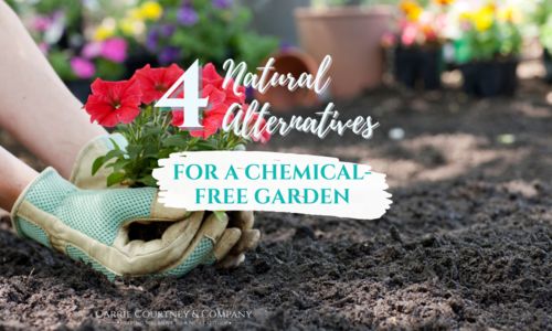 Maintaining a Chemical-Free Garden