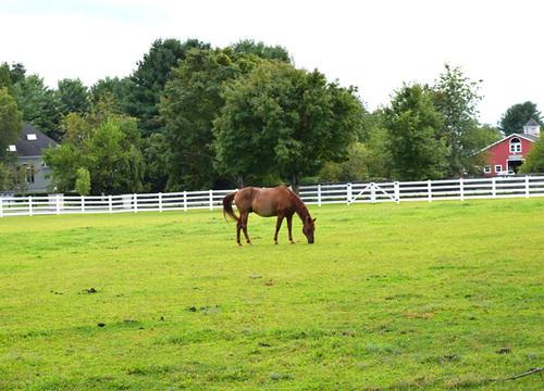 Howell &#8211; Area Page 1