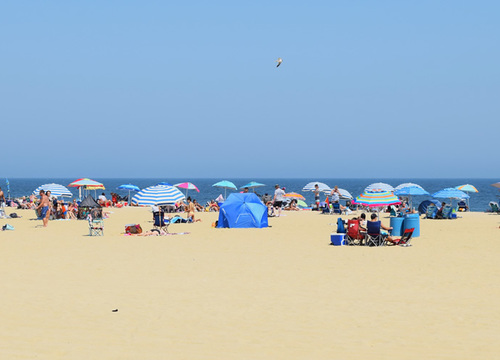 Spring Lake &#8211; Area Page 1