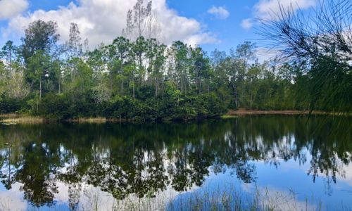Great Hiking Trails West Palm Beach