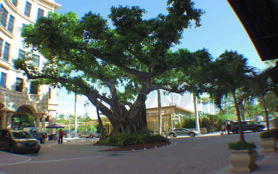 101-lofts-west-palm-beach-22