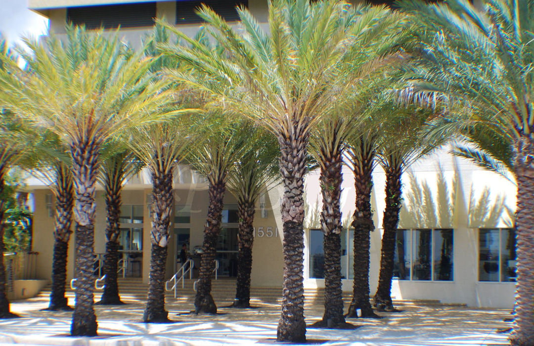 The Slade West Palm Beach for Sale Luxury Waterfront Condos