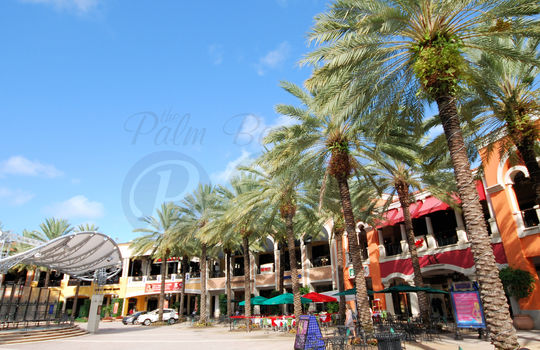 West Palm Beach a (4)