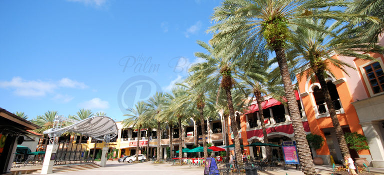 West Palm Beach a (4)