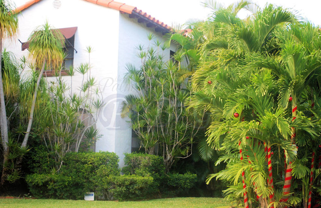 Homes for Sale in El Cid West Palm Beach View RentalsHistoric Property