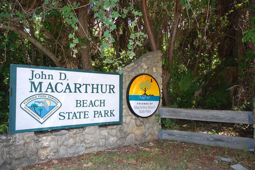Singer ISland (5)