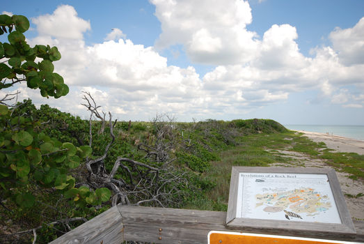 Singer ISland (7)