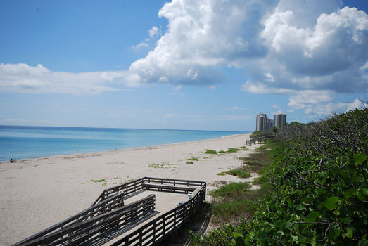 Singer ISland (8)
