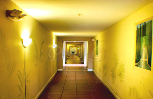 Courtyards in Cityplace (8)